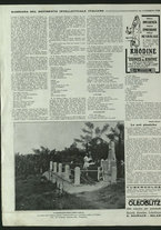 giornale/BVE0573751/1917/n. 034/4